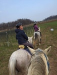 Pin by 슬기 on 승마 | Horses, Horse barns, Animals