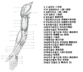 ▒ 탁구인의 쉼터, 탁구인의 산책로. 핑퐁조아 ▒