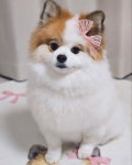 @merry._.dj 메리 전용러그! 세상에 하나뿐인 러블리한 리본 러그! 너무 잘어울리고 귀엽고 그림같고 인형같고🎀 계절 상관없이 어느 공간에... 