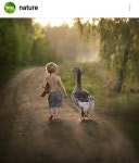 598 best AVES images on Pinterest | 농장, 농장 동물 및 닭장 AVES