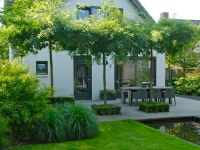 Tuinen에 관한 160개의 최상의 Pinterest 이미지 | 작은 정원, 정원 아이디어 및 야외 공간 Tuinen