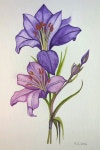 Pin page Pin on 그림 in 2024 | Watercolor beginner, Painting, Watercolor paintings