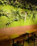 * Project : 서울식물원 카페 오아시스 * Client : 오아시스 * Type : Natural & Artificial Plants * Location : 서울시 강서구 마곡로 161... 