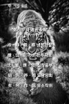 LIONS에 있는 Michael Sheriff Stone님의 핀 - 2021