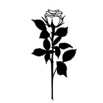#tattoos#blxckink#tattoo#tattooart#tattooflash #ignorantstyletattoo#linetattoo#blacktattoo #blackwork #bw#타투#블랙워크타투#라인워크... 