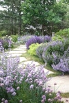 Ute에 관한 13개의 최상의 Pinterest 이미지 | 작은 정원, 조경 및 조경 디자인 Ute