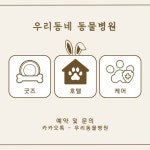 캔바 동물병원 홍보 템플릿 | Canva Animal Hospital Promotional Template 캔바 동물병원 홍보 템플릿 | Canva Animal Hospital... 