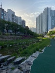Seoul / 서울 Seoul / 서울 nel 2024