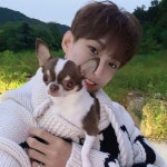 도겸 on Instagram: 귀염댕이🐶 | Seventeen instagram, Seventeen, Instagram update
