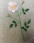 장미✨자수 #장미#장미꽃#장미자수#꽃자수#자수#야생화자수#롱앤숏스티치#새틴스티치#프랑스자수#자수타그램#embroider... 