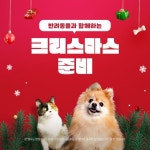 반려동물과 함께하는 크리스마스 준비!