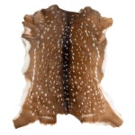 사슴 Pin by 박윤호 on 회원님이 만든 핀 in 2024 | Chrome tanning, Deer hide, Deer