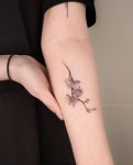 난초앤인셀덤 | 난초 orchid🌿(2) (3,4번은 무보정 사진입니다) 한달뒤 예쁜사진을 보내두신다니..기대하고 있을게요!!!😊 | Instagram