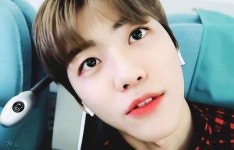 ❤️ jaemin ❤️에 있는 𝐛𝐞𝐥𝐥𝐚님의 핀 | 밈