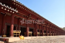 조선왕조의 종묘  Yanggiri, 사진, 종묘, 조선, 풍경, 왕조, 제사, 건축물, 세계유산, 문화재, 유네스코, 사당, 사적, 역사, 배경 | 야외 장식... 