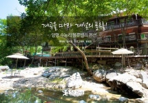 계곡을 따라 계절의 풍류를! | Travel magazines, Travel, Zine