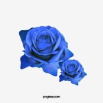 Blue Roses PNG Picture, Blue Rose, Blue Roses, Blue, Roses PNG Image For Free Download | 푸른 장미, 파란색 장미, 장미