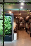 스마트 그린월 나아바 스터디카페 Smart Green wall NAAVA study cafe 스마트 그린월 나아바 스터디카페 Smart Green wall NAAVA... 