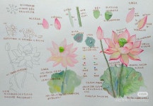 Ghim của Jieun Jeon trên 수채화예시 trong 2025