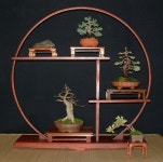 So this is probably the coolest way to display bonsai Ive found! | 분재, 화분, 정원