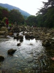 many wishs.(이미지 포함)