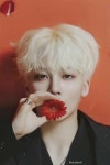 꽃 물고있는 정한 1【2023】 | ジョンハン, Seventeen ジョンハン, ハニ