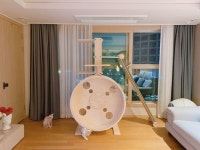 우리 냥이 운동공간 캣휠 - 2020