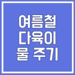 Pin page 여름철 다육이 물 주기 다육이 종류 쭈글쭈글 원인 4가지 직사광선 실내에서 키우기 in 2024