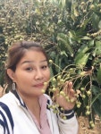 [Thailand] [[Make the world closer] My best friends in Airtripp] Good morning. Longan Fruit - 2020 | 과일