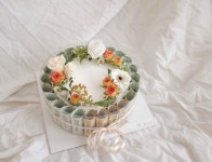 분당 꽃집 꽃,한아름(Florist 한아람) on Instagram: “용돈케이쿠🧡 #꽃한아름생화케이크 #꽃한아름숫자케이크 - 꽃,한아름... 