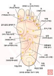 손발 지압 부위 총정리