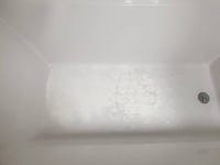바스  거품입욕   단한개  백양대로46번길37  부산원데이  부산펫아로마테라피  애견공방  부산애견공방  퍼그  부산퍼그삼남매  멍스... 