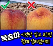 Pin on 살림9단