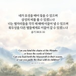 욥기 38:31-32