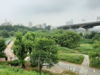 Seoul Gaepodong에 있는 DONGYONG KIM님의 핀 - 2020
