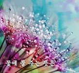 꽃에 물 주는 뜻은 #가족 #꽃 #사진 #편지 #부부 #행복 #예술