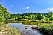 Pin page 또 진천. #차박 #노지캠핑 #백곡천 #여름캠핑 #슬기로운차박생활 in 2024