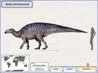 페넬로포그나투스 페넬로포그나투스 em 2024 | Animais extintos, Animais pré-históricos, Dragões dreamworks
