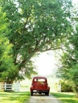 Take Me Home Country Road | 자연 사진