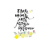 디지털 캘리그라피[당신은 내게 늘 새로운 설렘과 감동입니다] | 명언, 블로그, 웃긴