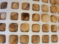 고양이에 있는 앤님의 핀 - 2021 | 고양이