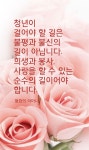 #평화의어머니