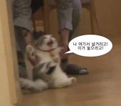 야