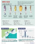 명태만큼 많은 이름을 가진 생선도 없을 것이다. 황태, 북어, 동태 등 가공 방법에 따라 지칭하는 단어가 세분화되어 … | 영양 활동, 건강식품, 영양