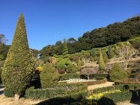 외도 보타니아~ | Farmland, Outdoor, Vineyard