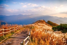 「강원도 정선군」 산, 길 | Korea Tour Guide for travelers | 디그램 여행 가이드 - K-Tourism / Korea Tour guide for travelers / Tour / dgram / 디그램... 