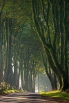 Devon에 관한 158개의 최상의 Pinterest 이미지 | 영국, 여행지 및 Paisajes Devon
