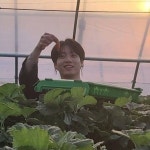 Jungkook에 있는 방탄 × bts × pics님의 핀 - 2020 | 방탄소년단, 박지민