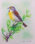 Pin page Pencil art에 있는 Hemi Nagar님의 핀 - 2025