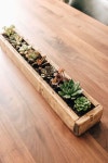 Pin by 슈퍼마마 on 2월 24일 | Succulent planter diy, Diy planter box, Succulents diy